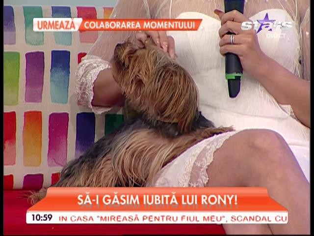 Se mărită Doinița Oancea? Actrița a spus adevărul despre relația pe care o are cu Augustin Viziru