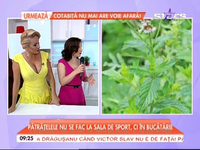 Ierburi aromatice care te ajută să slăbeşti! Bei un ceai şi arzi toate grăsimile