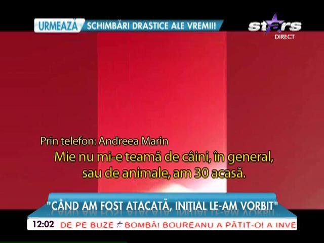 VIDEO / A fost atacată de o haită de c&acirc;ini şi a st&acirc;rnit un adevărat război printre vecini! Reacţia Andreei Marin după ce şi-a pierdut răbdarea