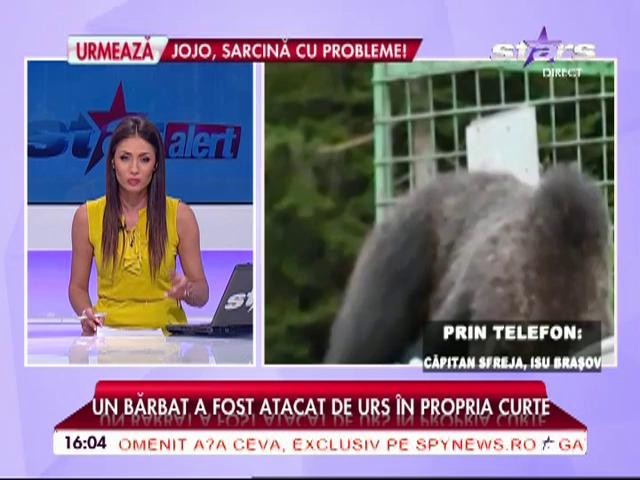Un bărbat a fost atacat de un urs &icirc;n propria locuință