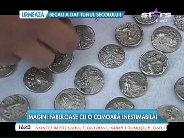 A mers &icirc;n pădure și s-a &icirc;mbogățit peste noapte! O pasiune i-a schimbat viața unui șofer sărac!