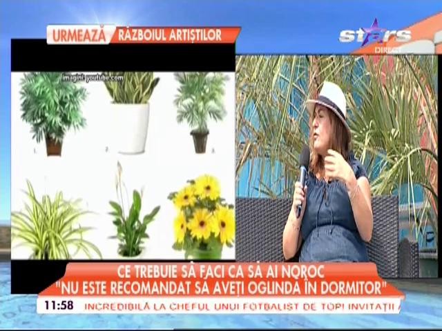 Ce trebuie să faci ca să ai noroc &icirc;n casă