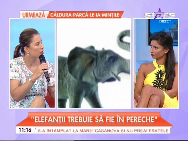 Feng Shui la tine acasă! Ce să faci să ai noroc &icirc;n bani și dragoste