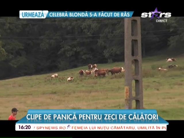 Clipe de groază pentru zeci de călători! Trenul &icirc;n care se aflau a deraiat