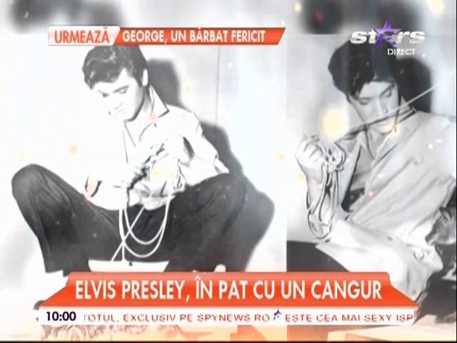 Vedetele de la Hollywood adoptă animale exotice. Cu ce se laudă starurile