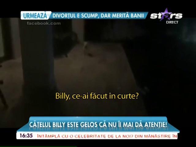 Andreei Bălan i-a fost distrusă curtea și a descoperit și vinovatul! L-a certat aspru