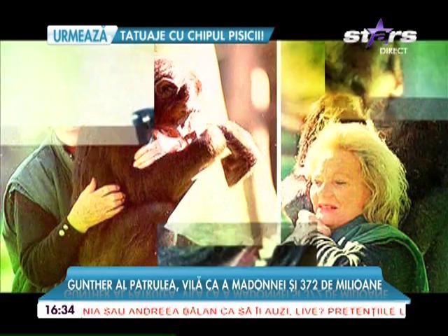 Iată &icirc;n ce lux trăiesc cele mai bogate animale din lume
