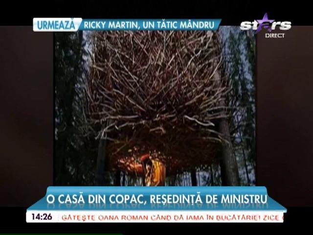 Cele mai frumoase case din lume construite &icirc;n copaci