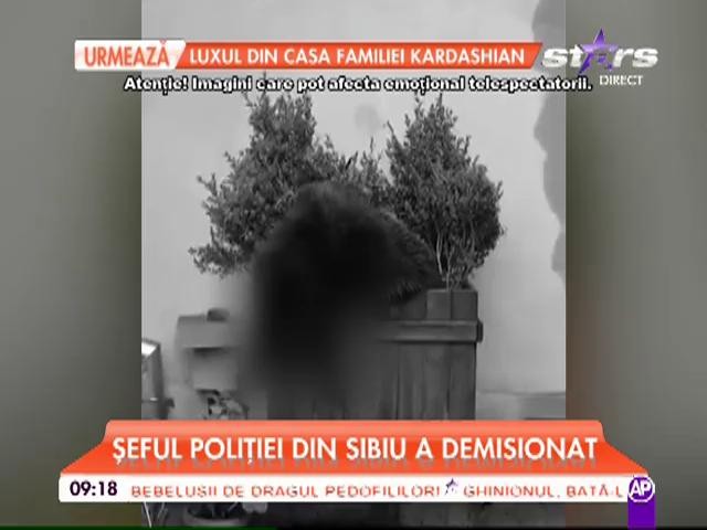 După scandalul &icirc;mpuşcării puiului de urs, Şeful Poliţiei Sibiu a demisionat