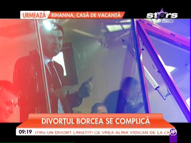 Divorţul lui Cristi Borcea de Alina Vidican se am&acirc;nă