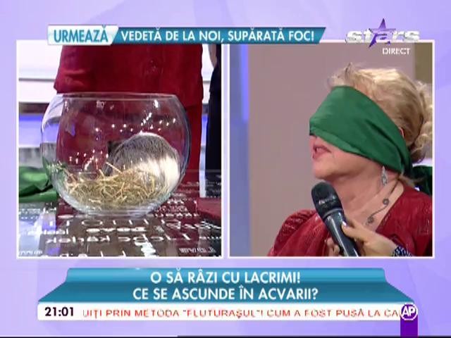 Provocarea lui Morar! Oana şi Viorel Lis se bat parte &icirc;n parte şi &icirc;şi arată talentul vocal