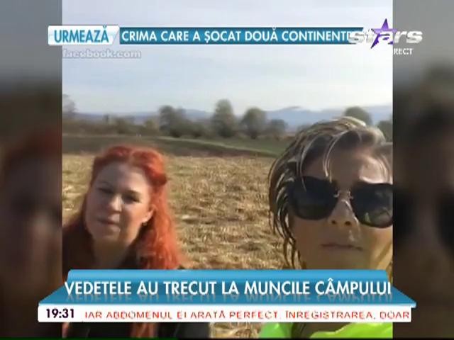 Vedetele au trecut la muncile c&acirc;mpului
