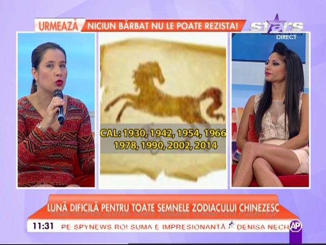 NOIEMBRIE, lună dificilă pentru toate semnele zodiacului chinezesc: "Accidente, cutremure puternice, boli şi furturi"