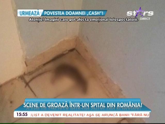 Un şobolan mort, pe holurile Spitalului Municipal din Bucureşti