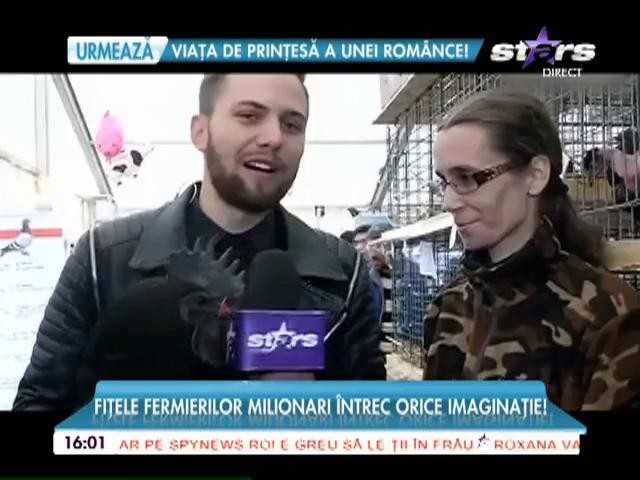 Păsări domestice care costă c&acirc;t cel mai scump bolid de lux!