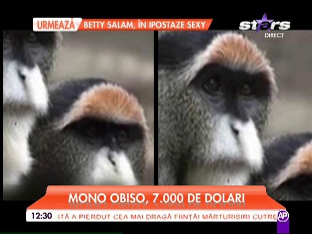 Cele mai scumpe animale din lume