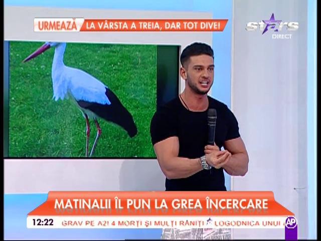 Dorian Popa, &icirc;n faţa testului suprem! Vedeta a trebuit să intuiască ce animale are &icirc;n spatele său!