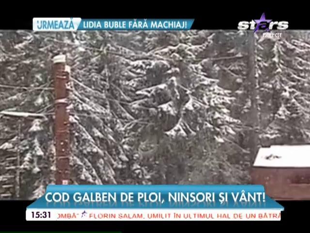 Cod galben de ploi, ninsori şi v&acirc;nt puternic
