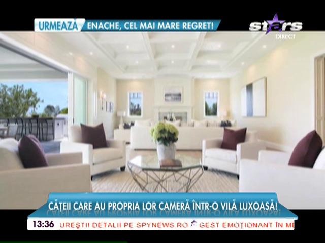 Cățeii lui Kyilie Jenner au propria cameră &icirc;ntr-o vilă luxoasă!
