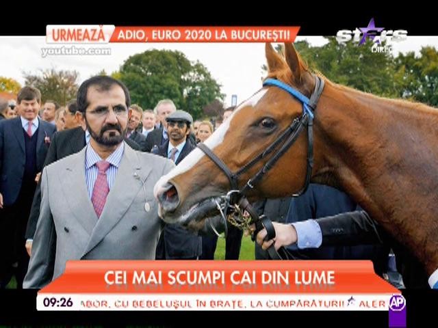 Un cal poate să coste mai mult dec&acirc;t o maşină de lux! Topul celor mai scumpi cai din lume