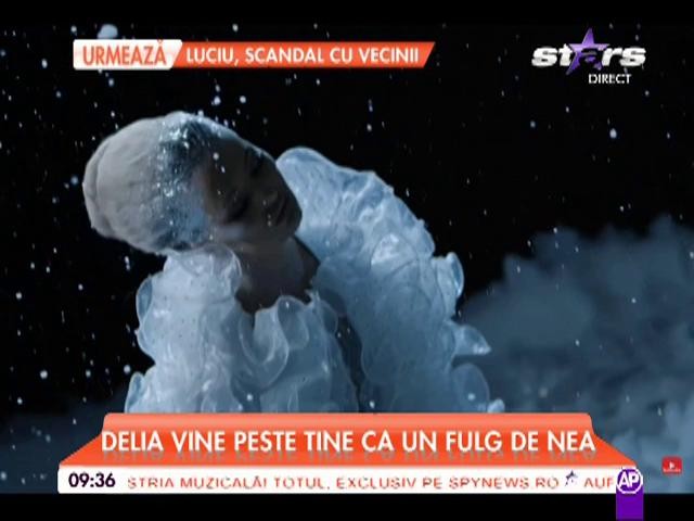 Delia a lansat o nouă piesă: "Fulg"