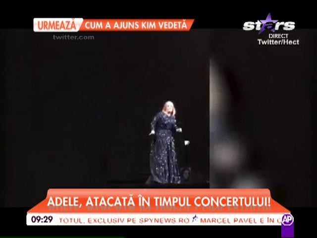 Adele a fost atacată &icirc;n timpul unui concert.. de un liliac!