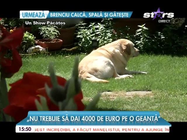Monica Tatoiu și-a făcut grădină zoologică &icirc;n vilă