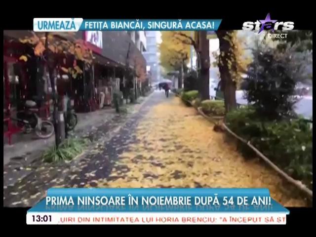 Prima ninsoare din noiembrie &icirc;n Japonia, după 54 de ani!