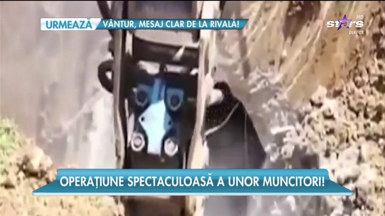Un urs a fost salvat de la moarte de o echipă de muncitori din Turcia