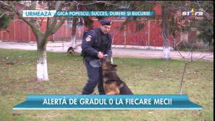 Jandarmii, eroii din stradă, mereu la datorie