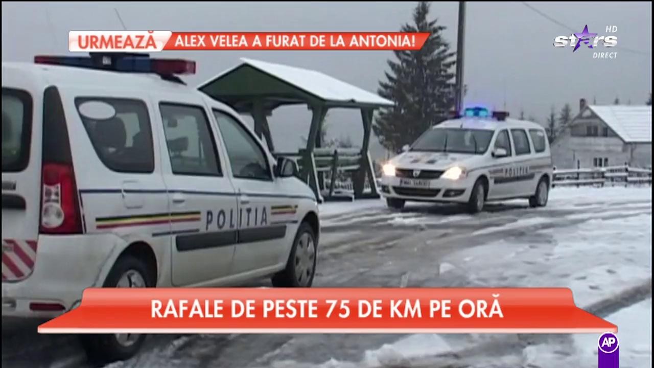 Cod galben de ninsori și v&acirc;nt