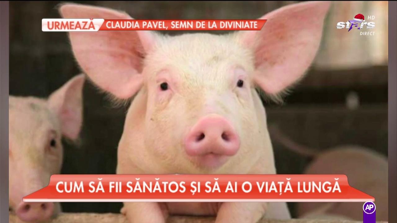 Ce trebuie să faci de ziua ignatului