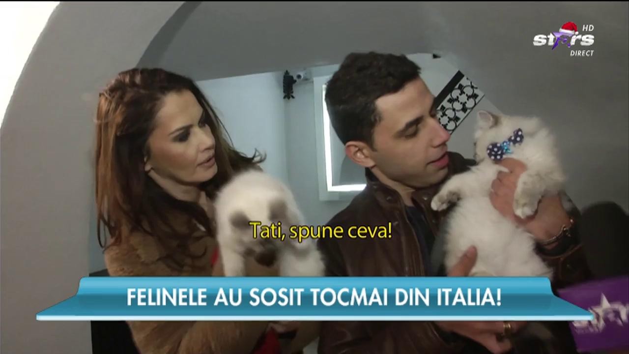 Oana Zăvoranu, &icirc;n culmea fericirii! Vedeta și-a mărit familia cu două pisicuțe superbe
