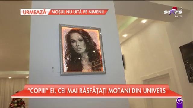 Oana Zăvoranu trăiește o viață ruptă din basme &icirc;n palatul ei din București