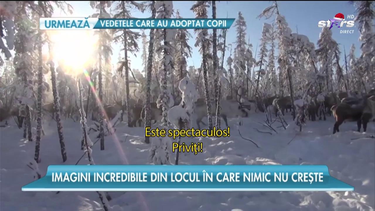 Locuitorii orașului Oymaykon tr&acirc;iesc la minus 54 de grade