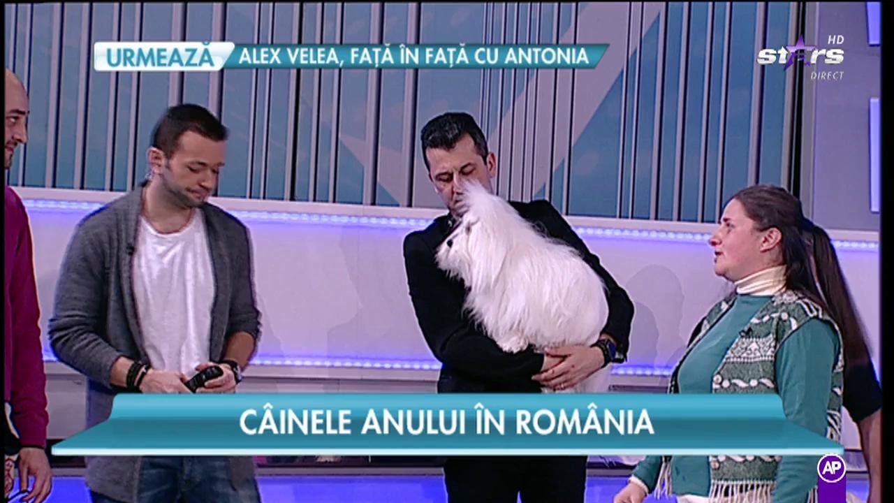Cei mai premiaţi c&acirc;ini! Ei sunt campionii Rom&acirc;niei!