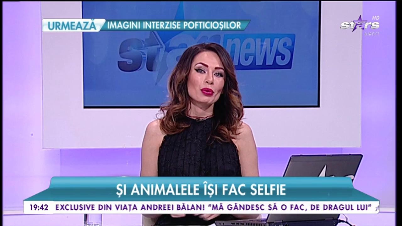 Și animalele &icirc;și fac selfie