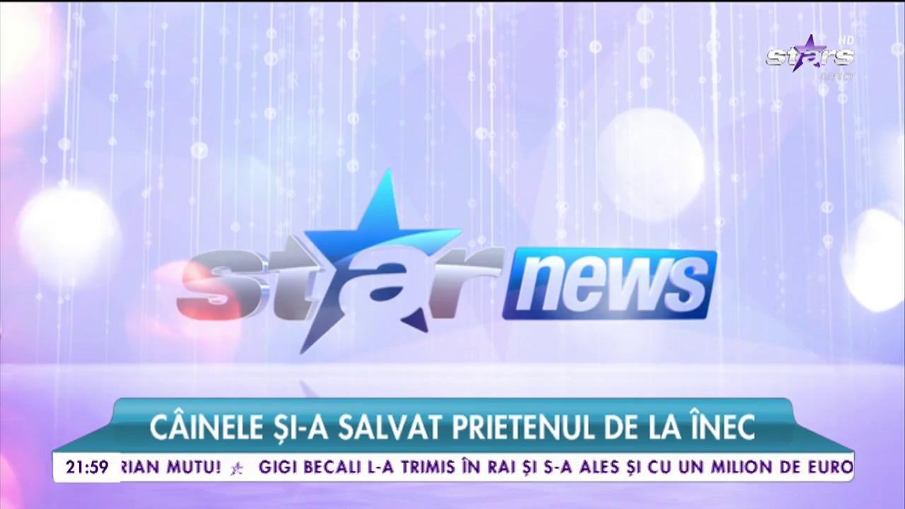 C&acirc;ine salvat de un alt c&acirc;ine de la &icirc;nec!