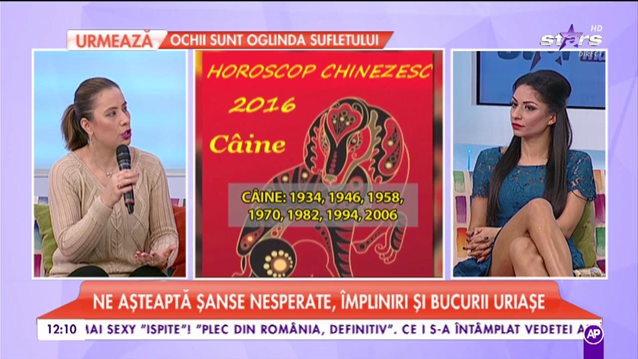 Zodiacul Chinezesc 2017- C&acirc;ine