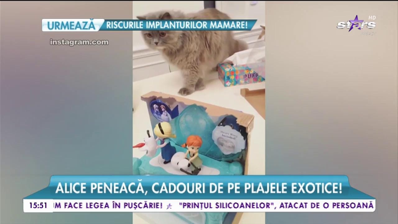 Alice Peneacă s-a &icirc;ntors de pe tăr&acirc;muri &icirc;nsorite cu daruri pentru cei dragi