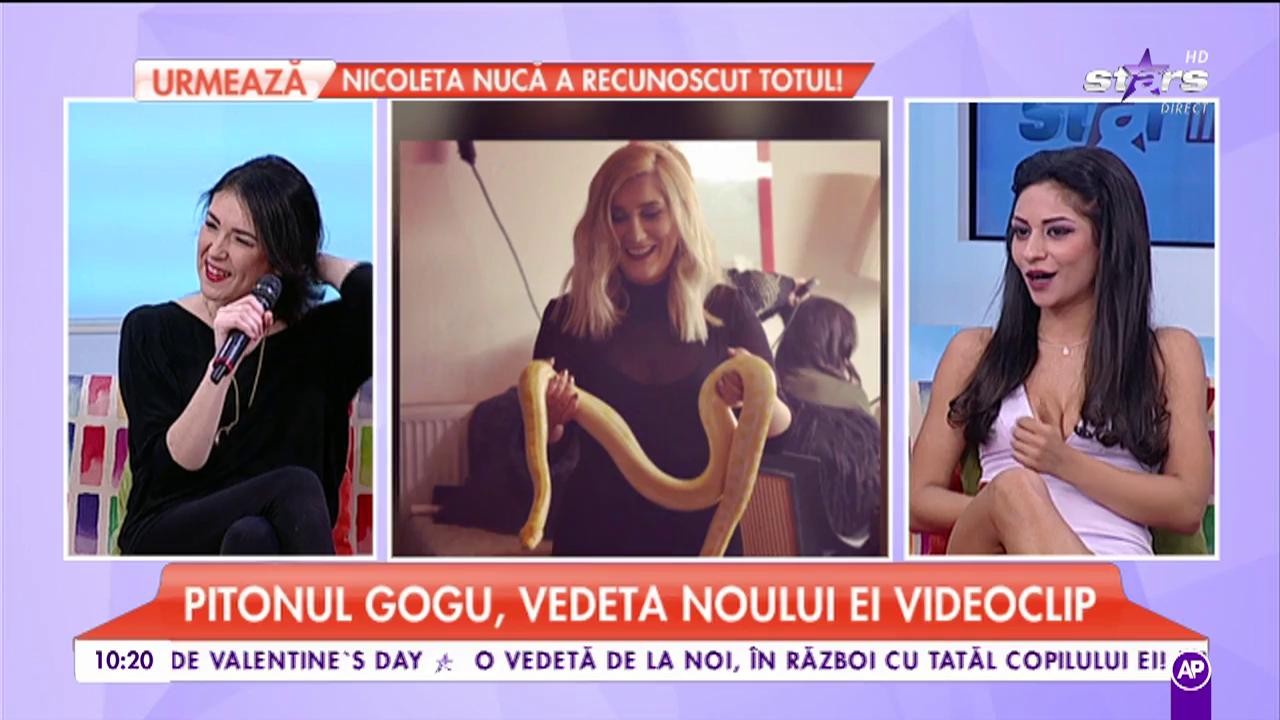 Adda lansat un videoclip neobișnuit: "Am rezistat doar 10 secunde cu pitonul Gogu la filmări"