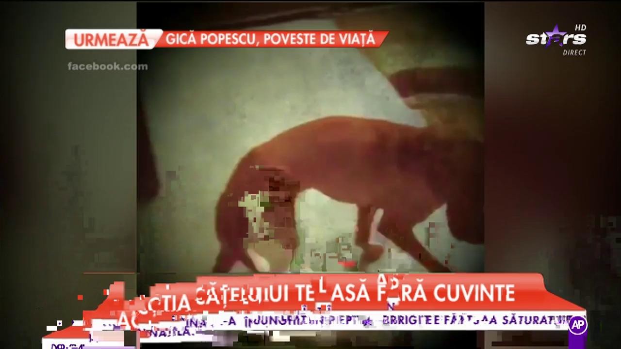 Mihai Bendeac, la cuțite cu cel mai bun prieten! &rdquo;Nu lua moacă de vinovat!&rdquo;
