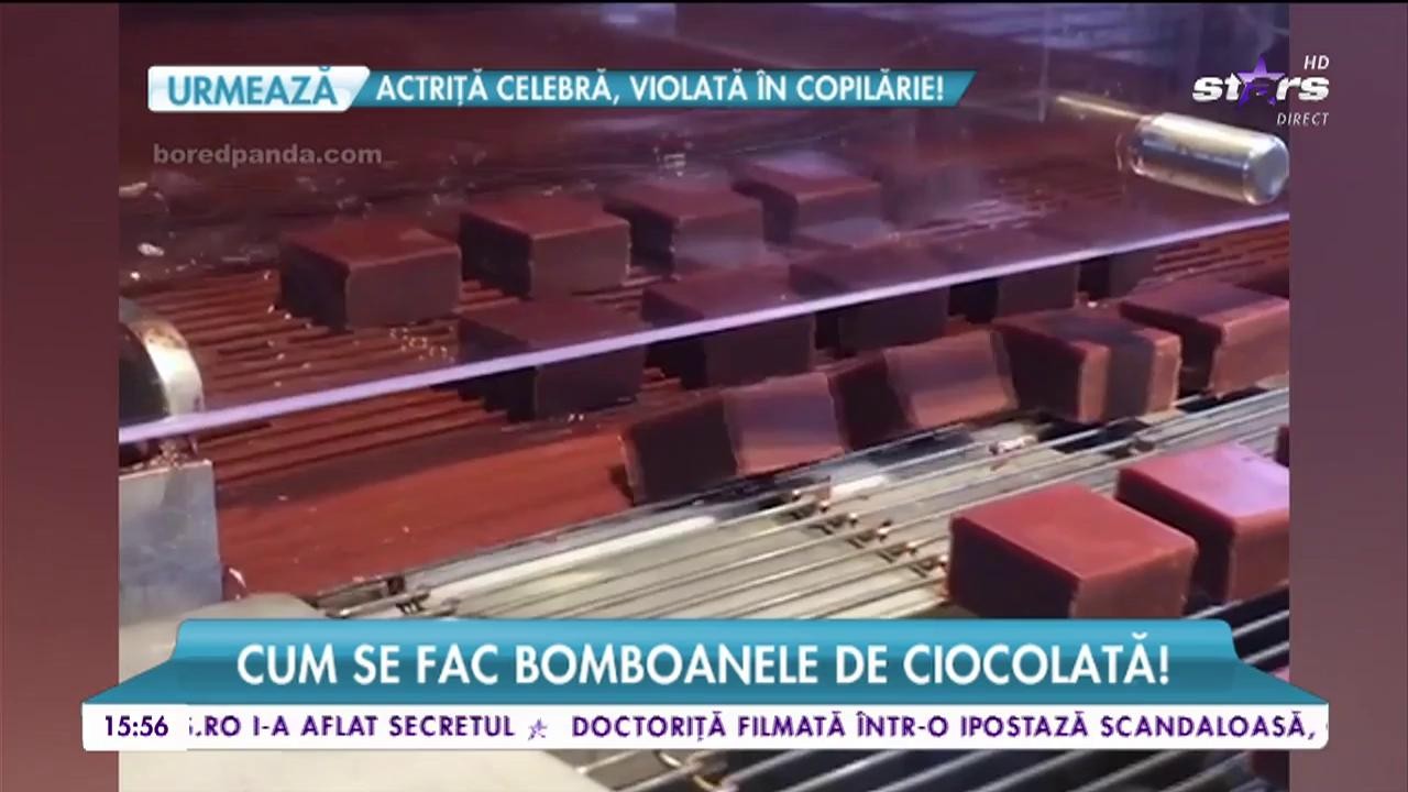 Cum se fac bomboanele de ciocolată! Cei mai buni chefi ciocolatieri dezvăluie secretul!
