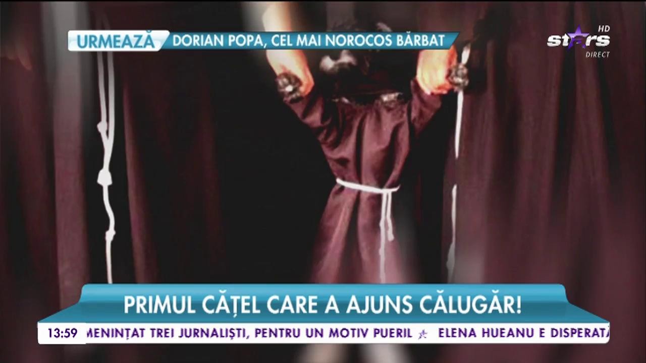 Primul căţel care a ajuns călugăr! Patrupedul a fost &icirc;mbrăcat &icirc;n straie de mănăstire!