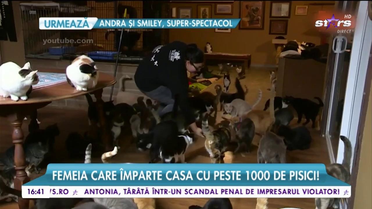 Femeia care &icirc;mparte casa cu peste 1000 de pisici!