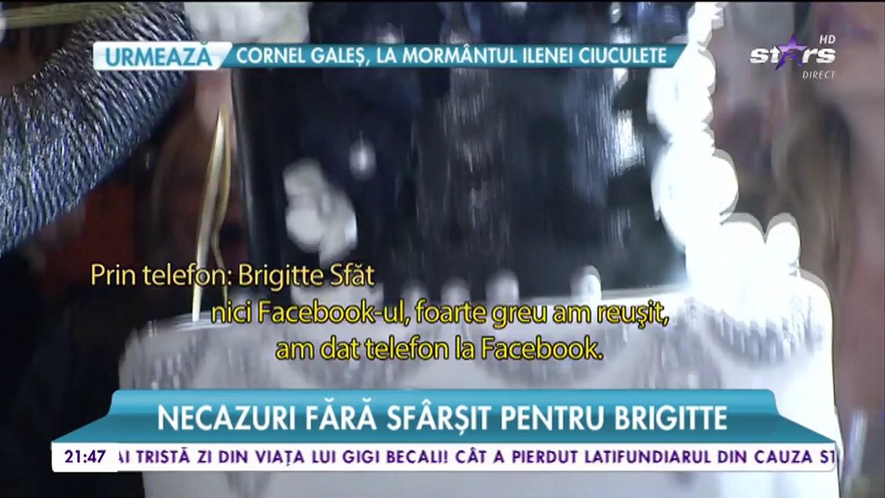 Brigitte Năstase, terorizată de hackeri