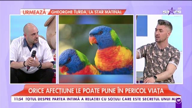 Papagalii sunt foarte sensibili. Orice afecțiune le poate pune &icirc;n pericol viața