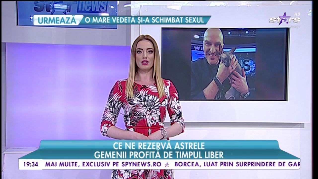 Ce ne rezervă astrele! Berbecii se remarcă &icirc;n societate!