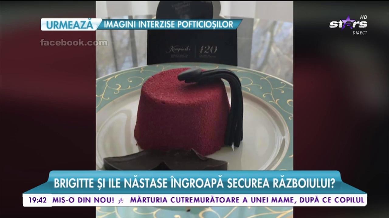 Brigitte şi Ilie Năstase &icirc;ngroapă securea războiului?