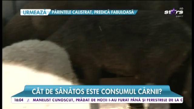 Războiul iubitorilor de animale cu tradiţia!